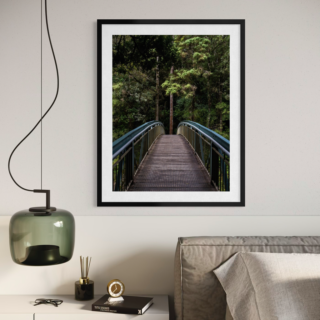 Whangarei Falls Walkway