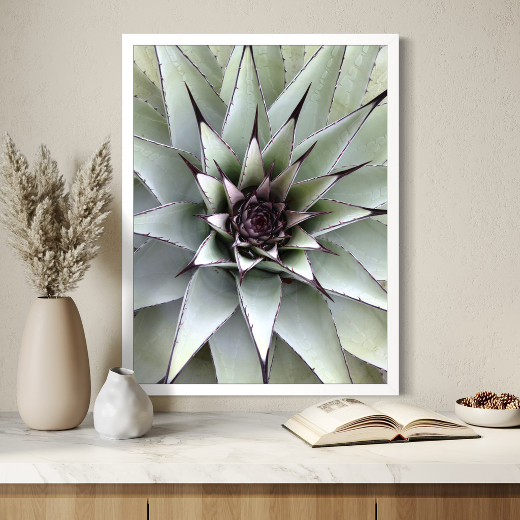 Desert Bloom