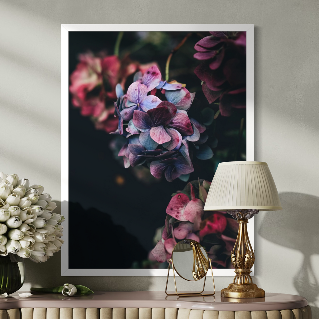 Hortensias de medianoche