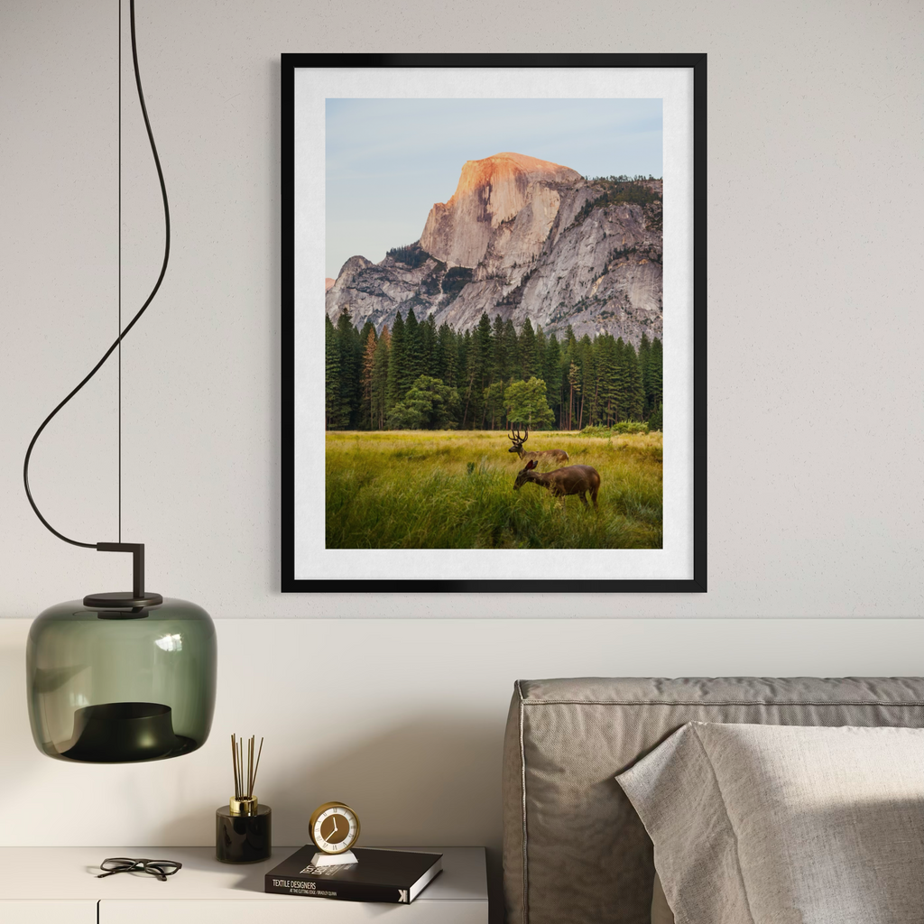 Ciervos en el valle de Yosemite