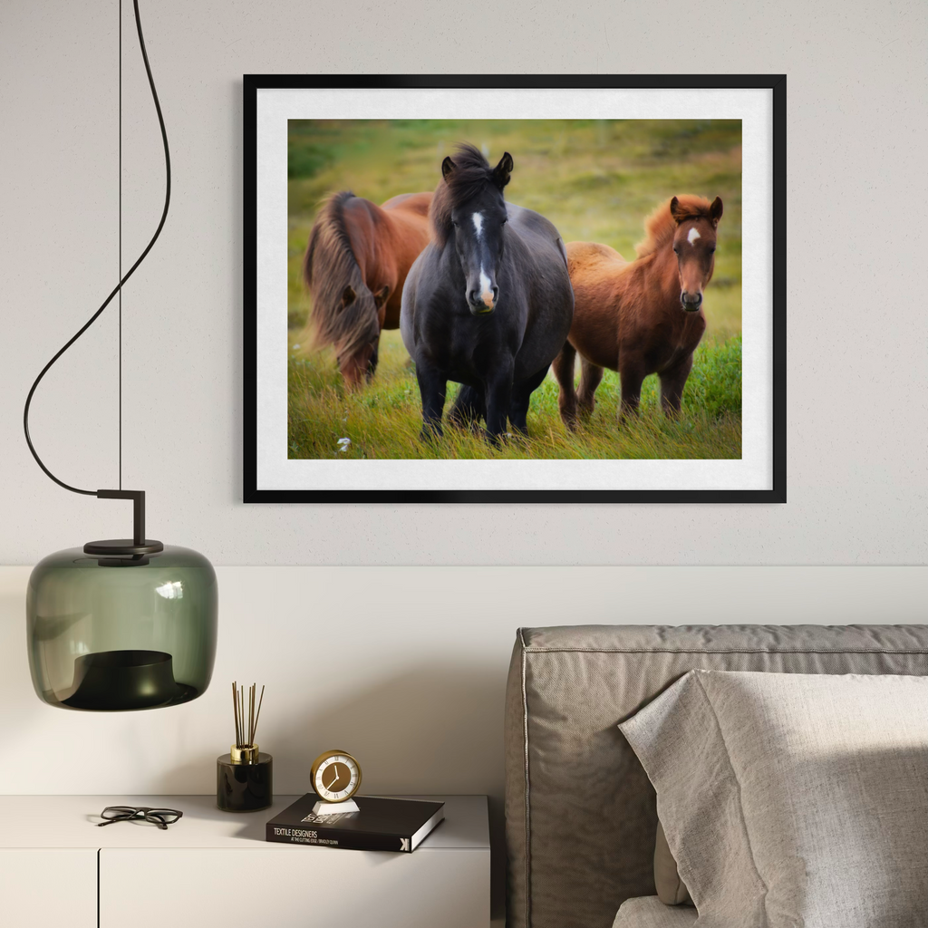 Meadow Companions