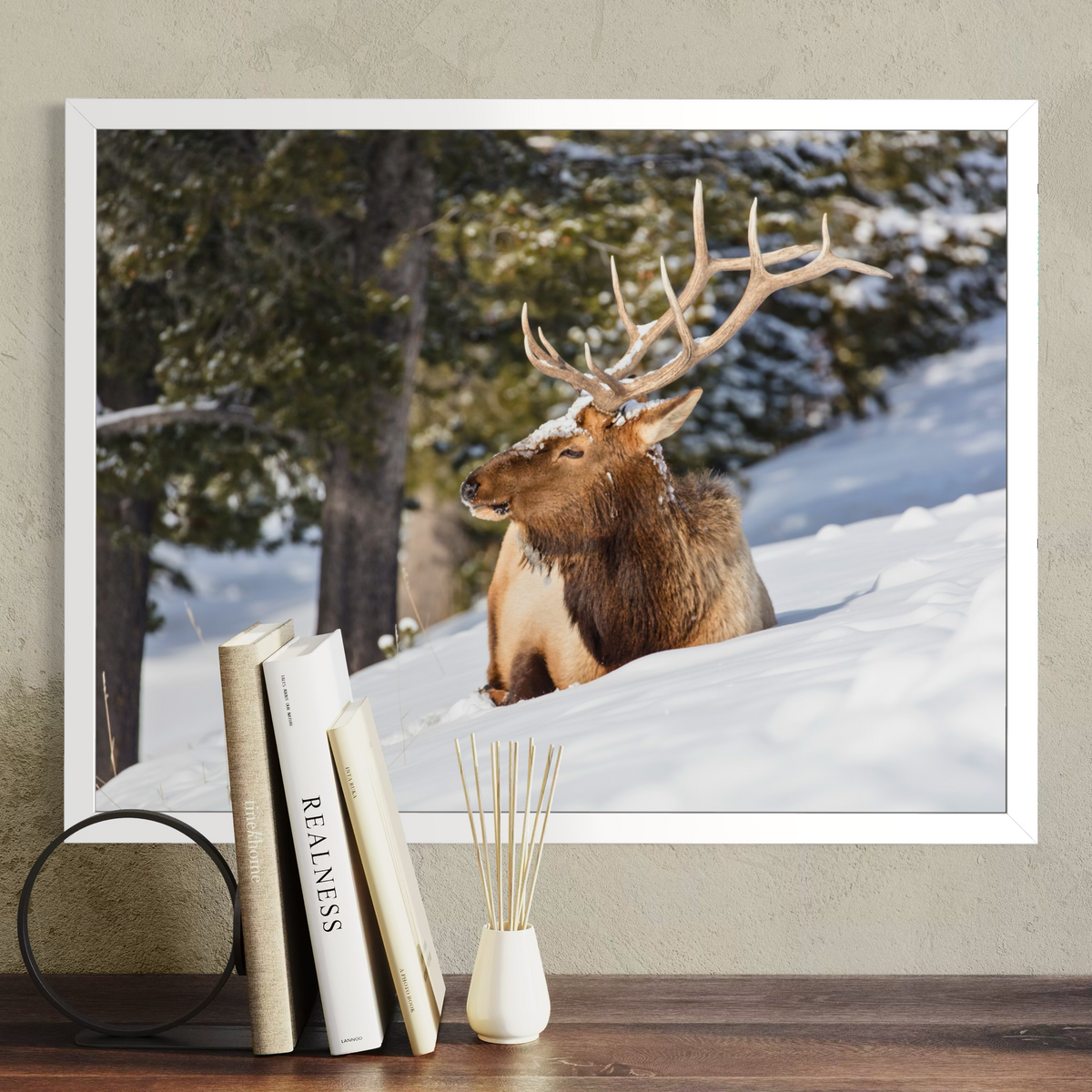 A white framed wall art print showing a brown elk resting in deep snow with pine trees in the background, displayed above a wooden surface with books and a small vase in a styled interior setting.