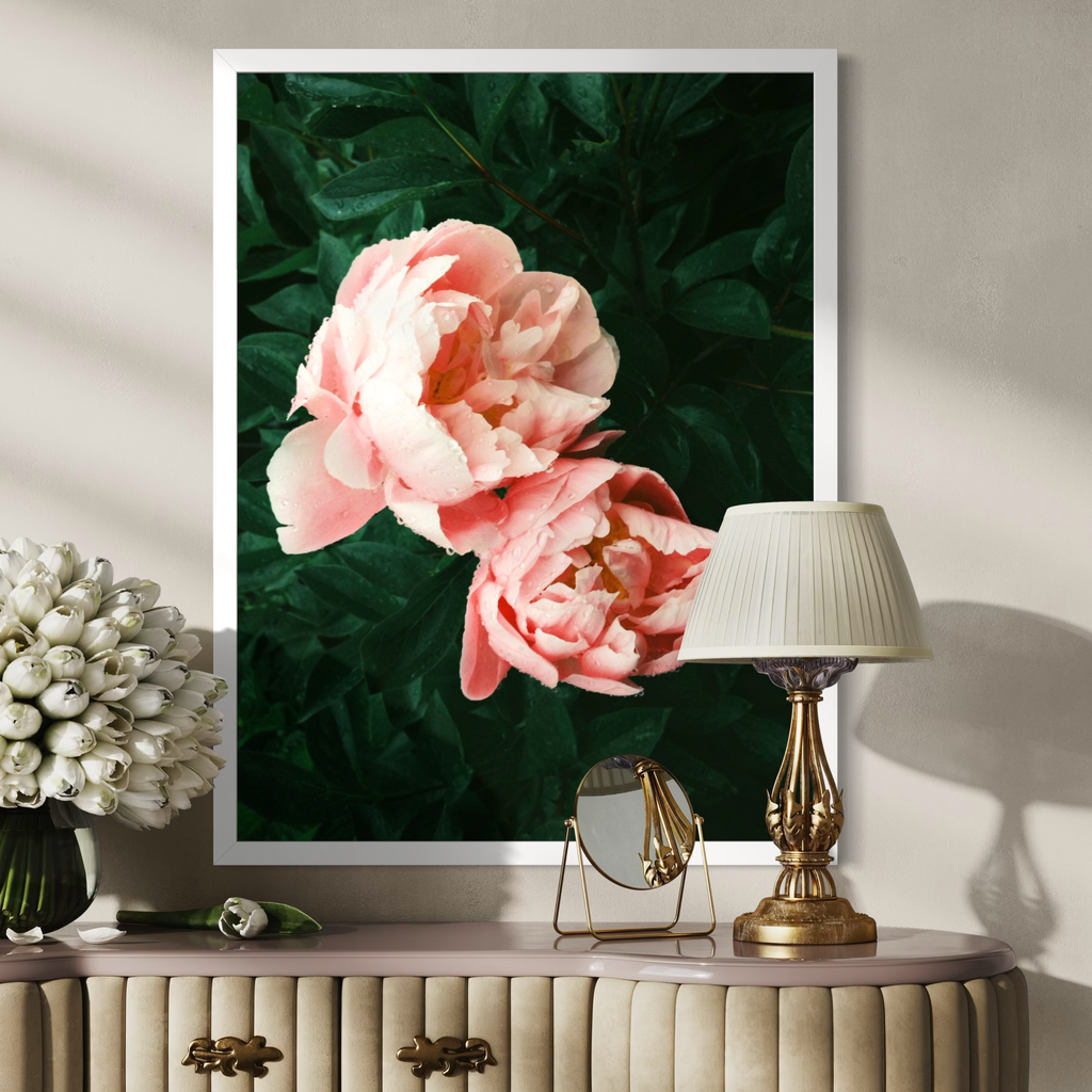 Pivoines embrassées par la pluie
