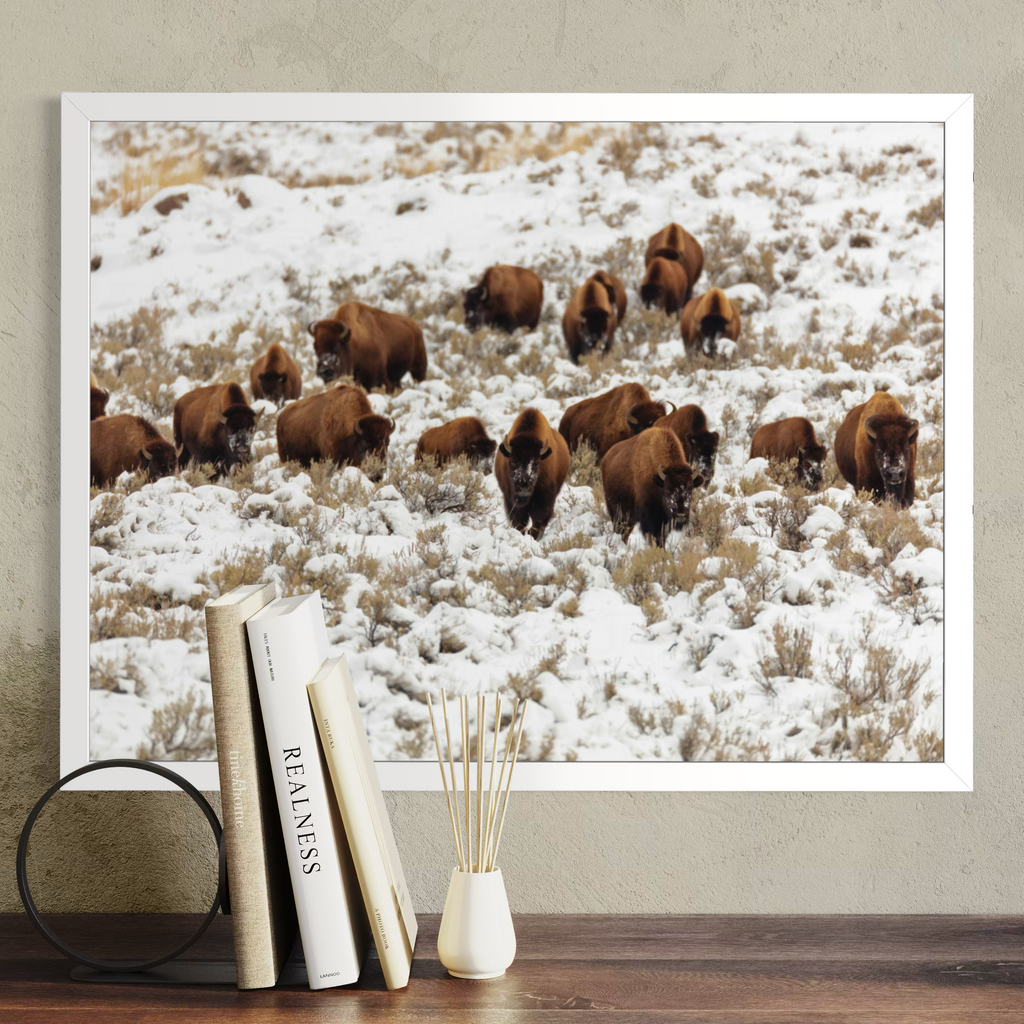 A white framed wall art print showing a herd of brown bison standing in a snowy field, displayed above a wooden surface with books and a small vase against a textured beige wall.