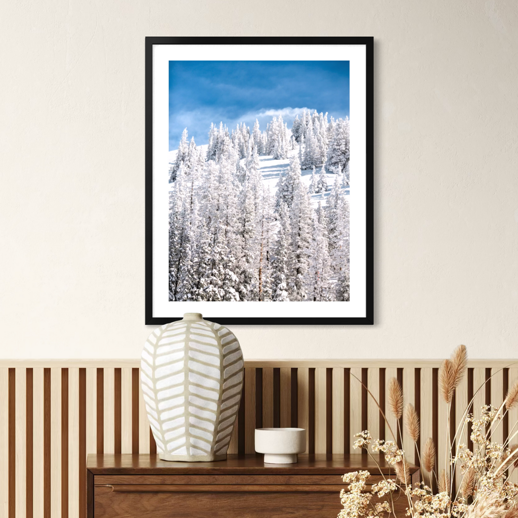 Frosted Evergreens