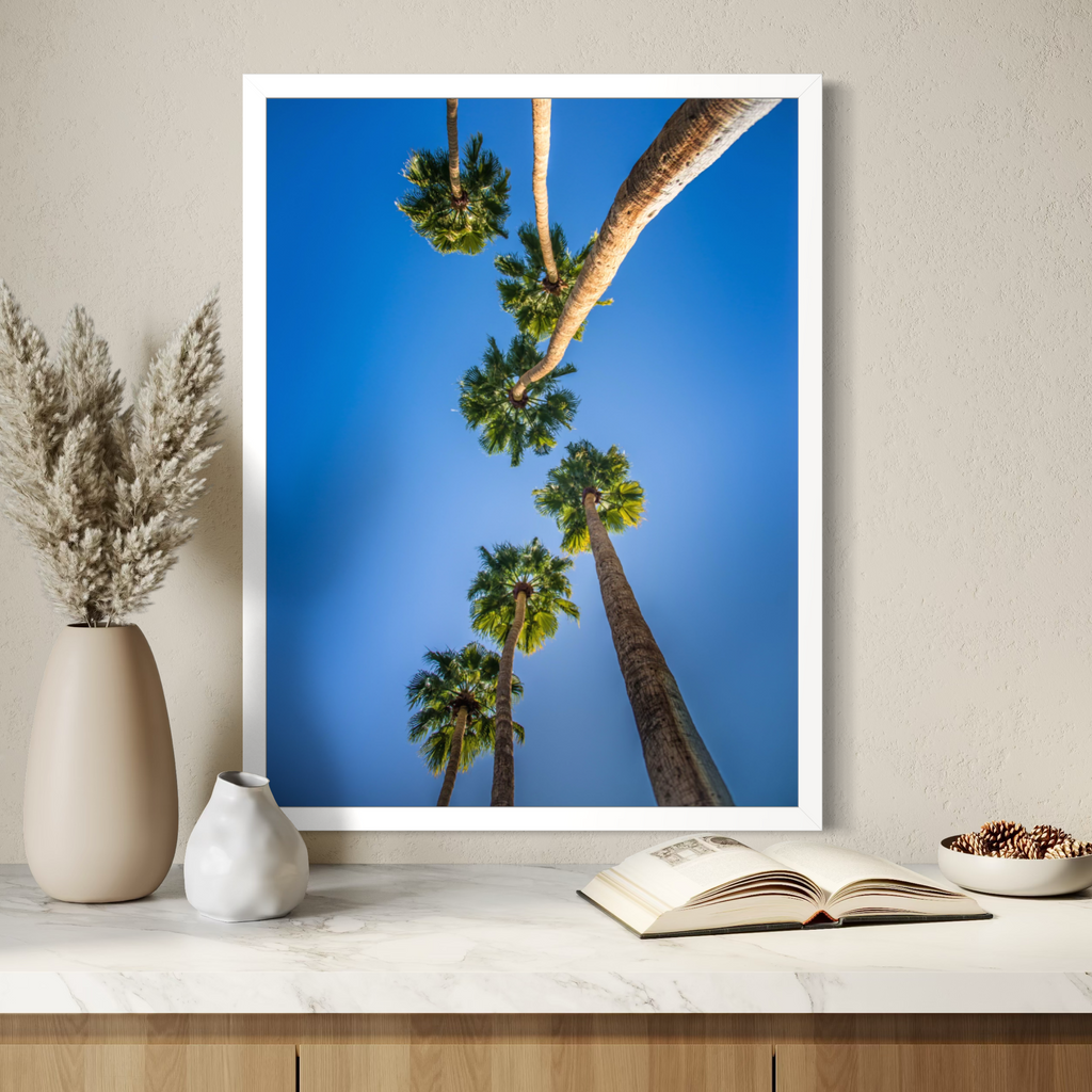 Blue Sky Palms