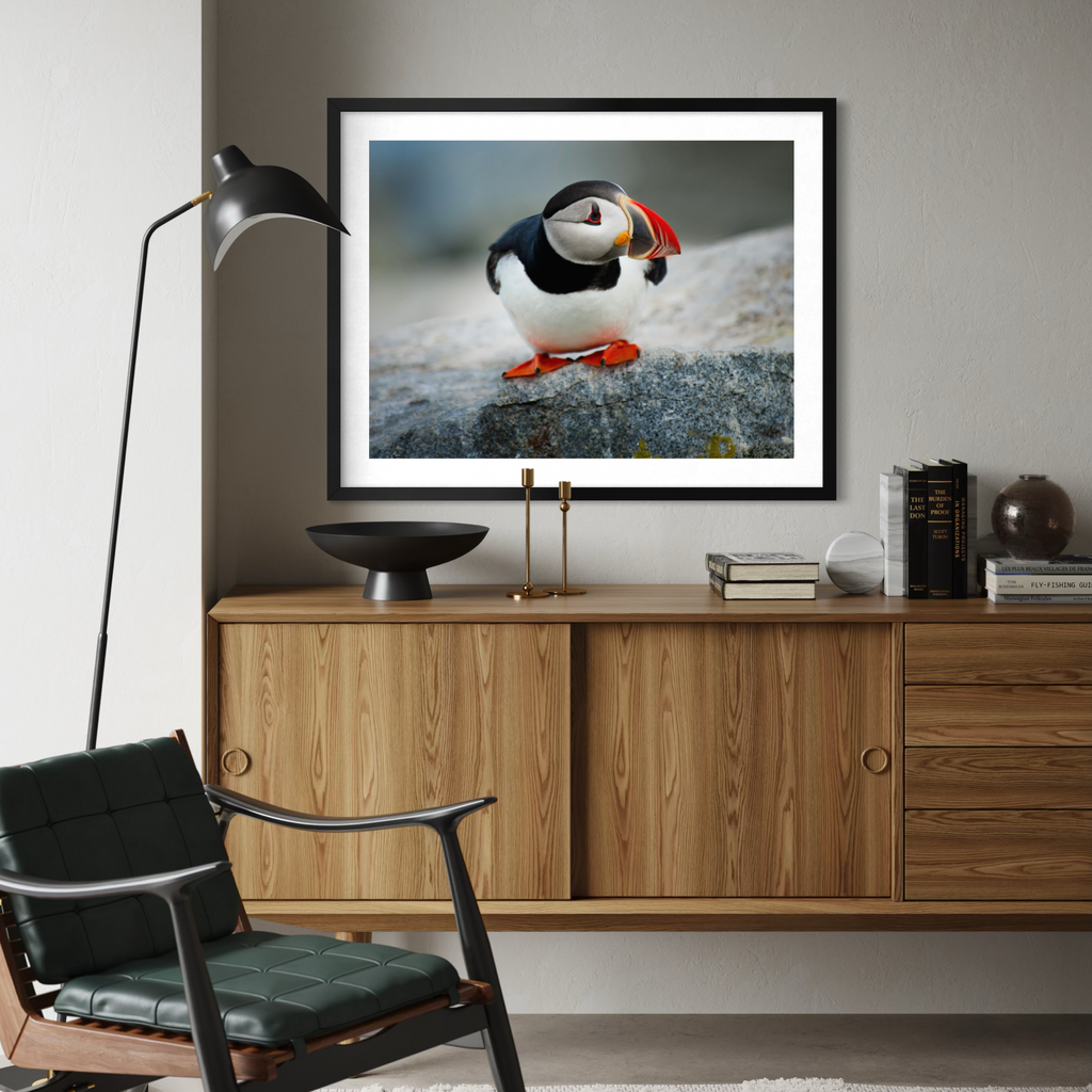 A framed art print of a puffin on a rocky shore, displayed on a light gray wall above a mid-century modern wooden credenza in a styled living room setting.