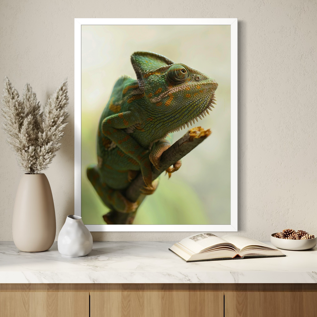Chameleon in Stillness