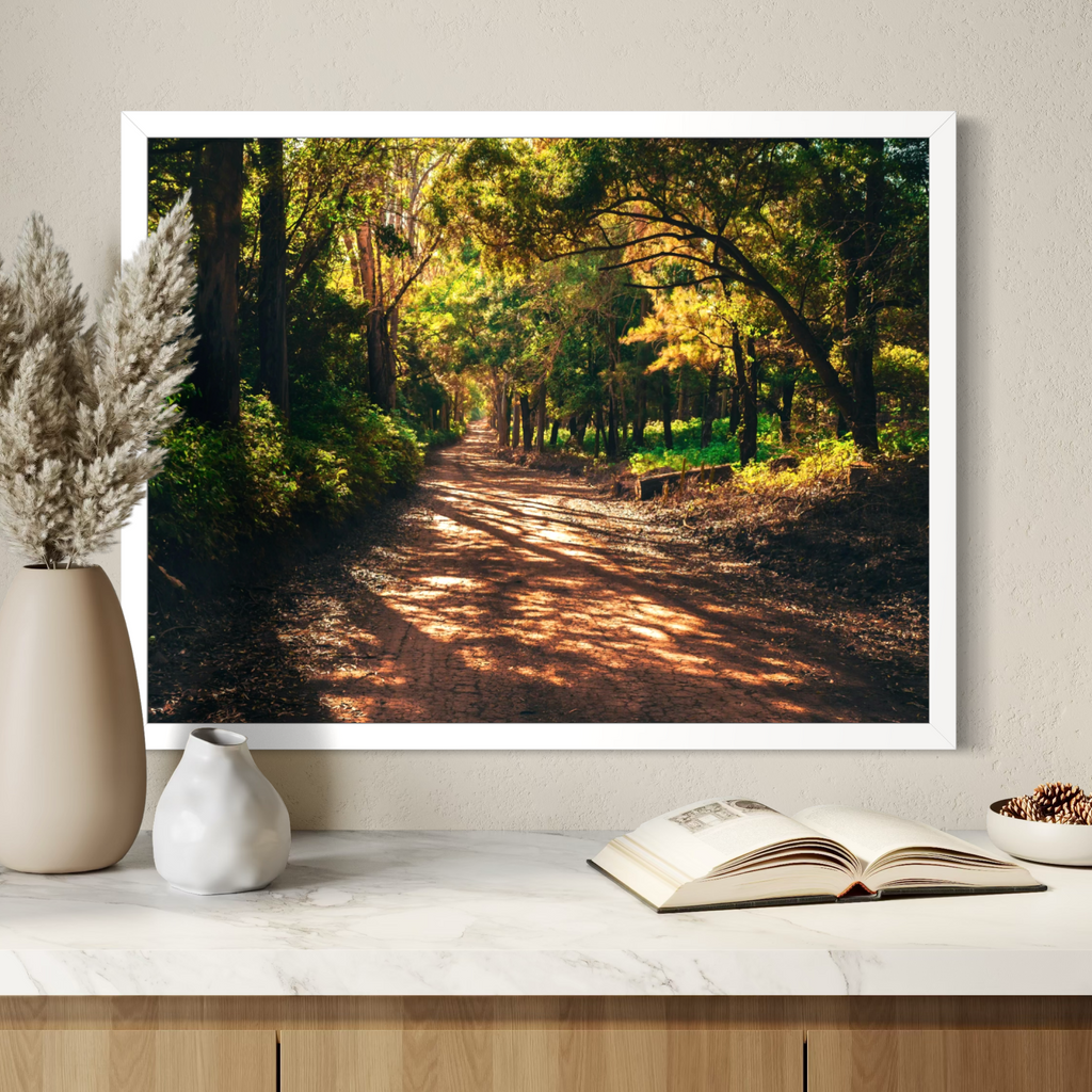 Nature’s Passage