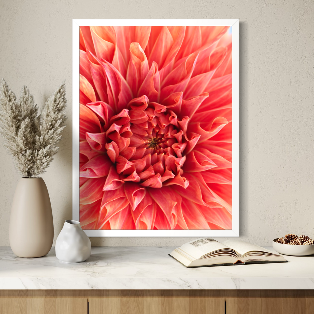 Dahlia in Detail