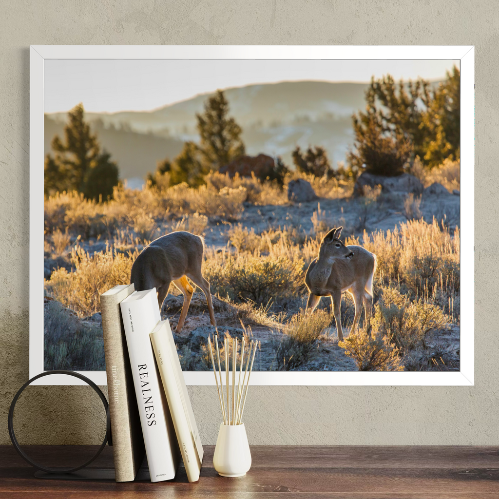 A framed landscape art print showing two deer in a grassy field at sunset, displayed on a wall above a wooden table with books and a small vase.