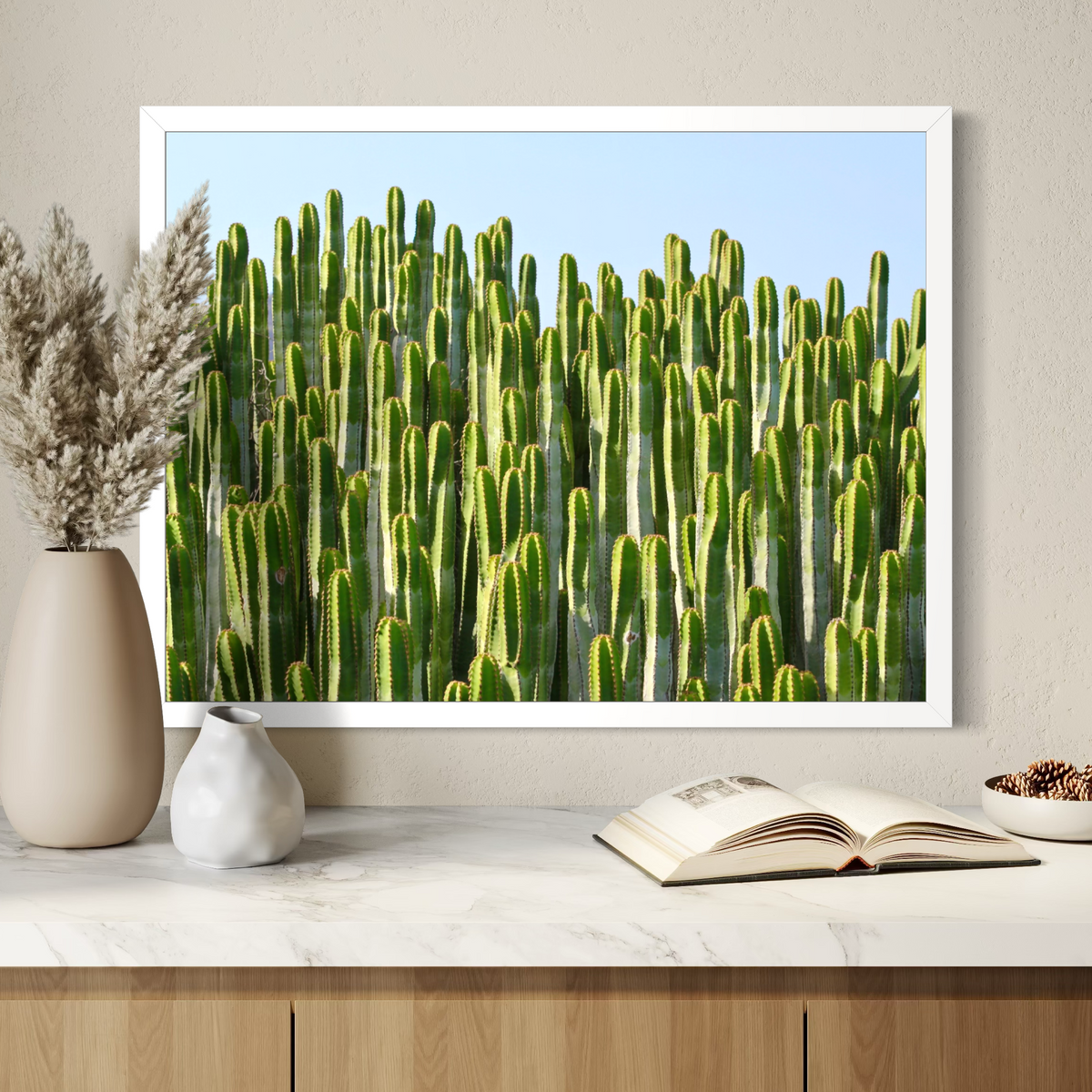Skybound Cacti
