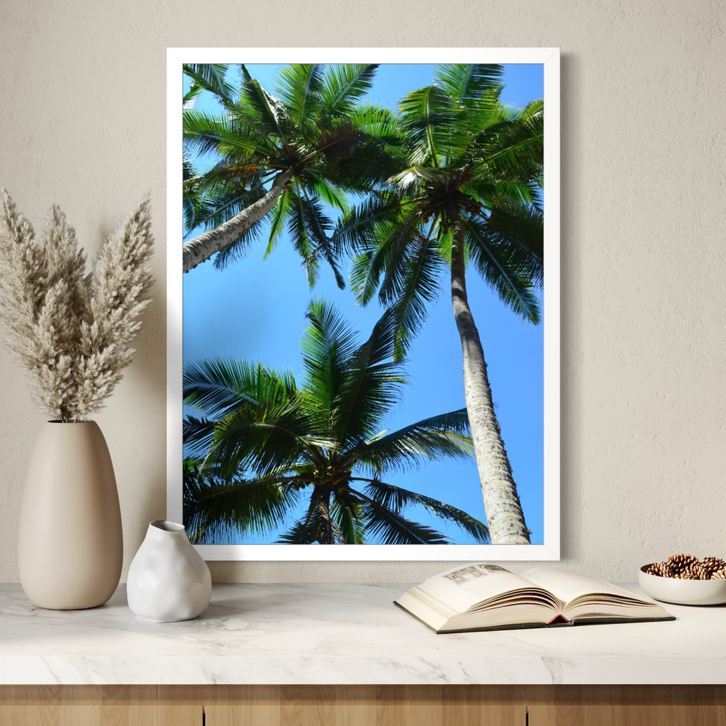 Coconut Canopy
