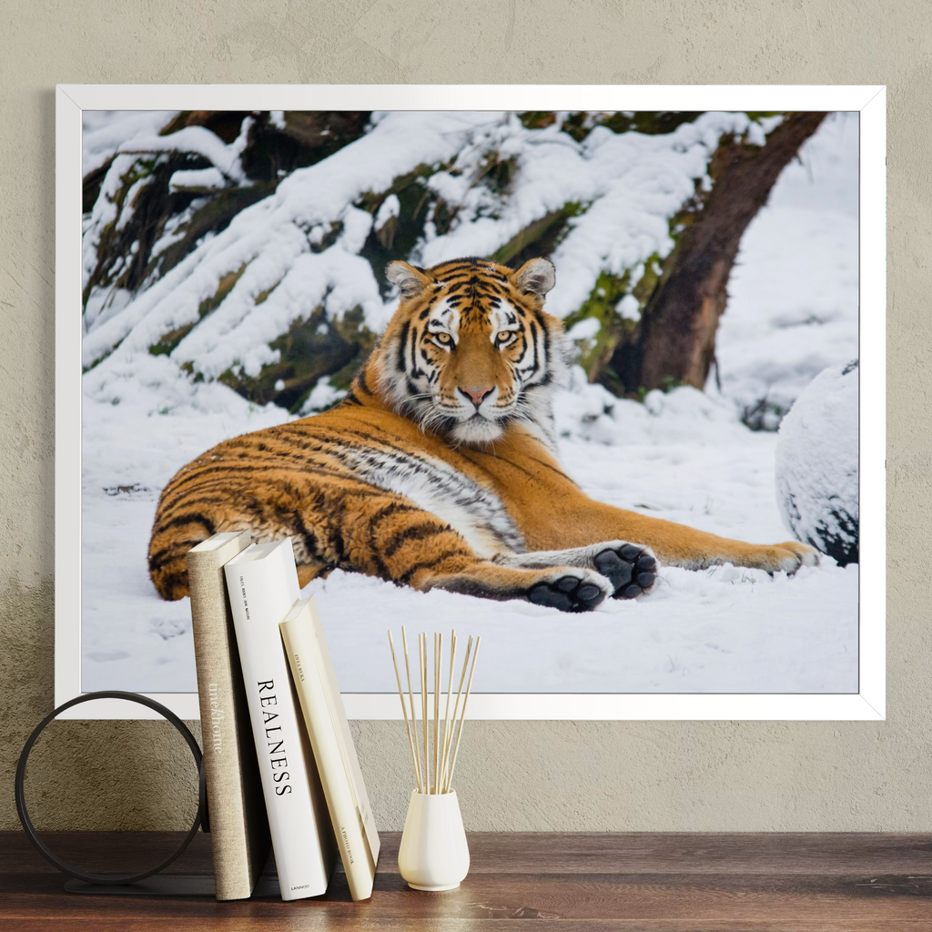 A white framed wall art print showing a tiger lying in a snowy outdoor scene, displayed on a beige wall above a wooden surface with books and a small vase in front.