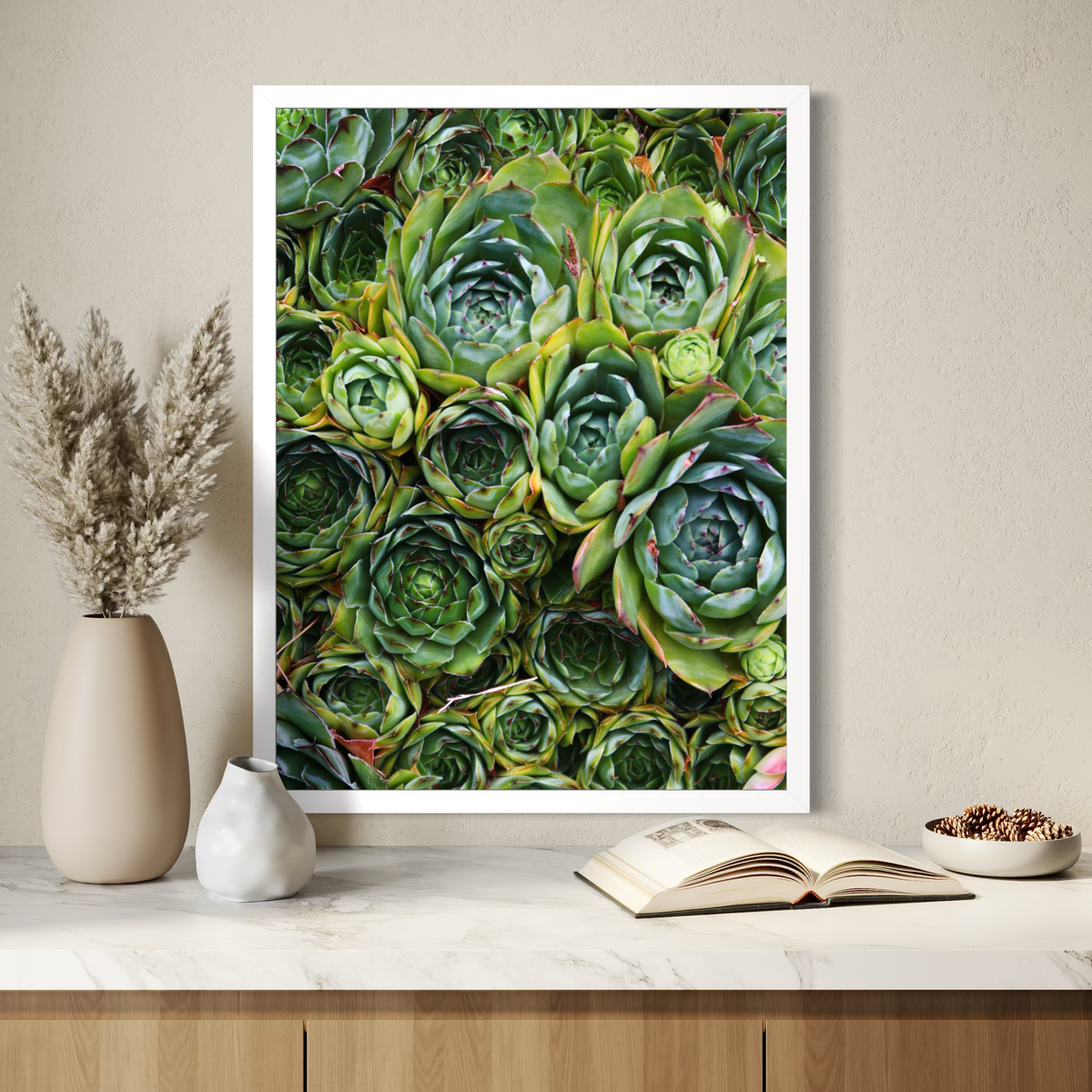 Succulent Symmetry
