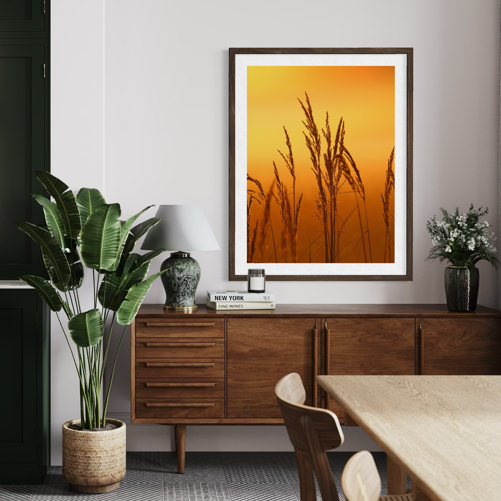 Sunset Reeds