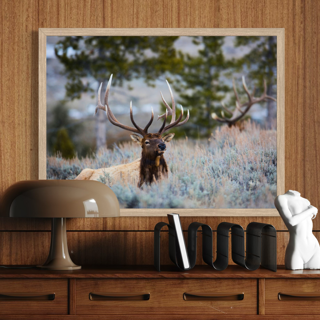 A wooden framed wall art print depicting a large elk with antlers in a grassy field, displayed on a wooden console above a lamp and decorative objects.