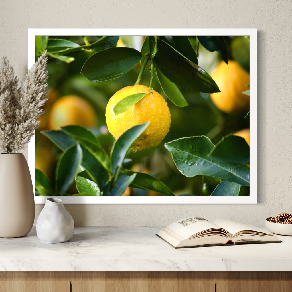 Lemon In Focus
