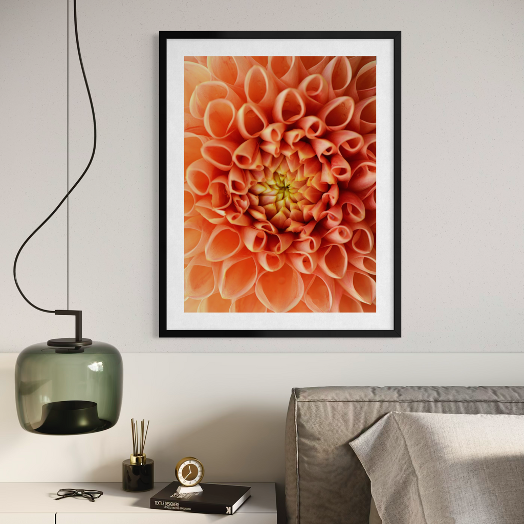 Dahlia Dreams