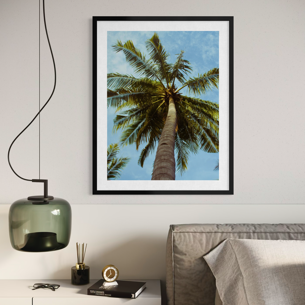Palm Tree Perspective