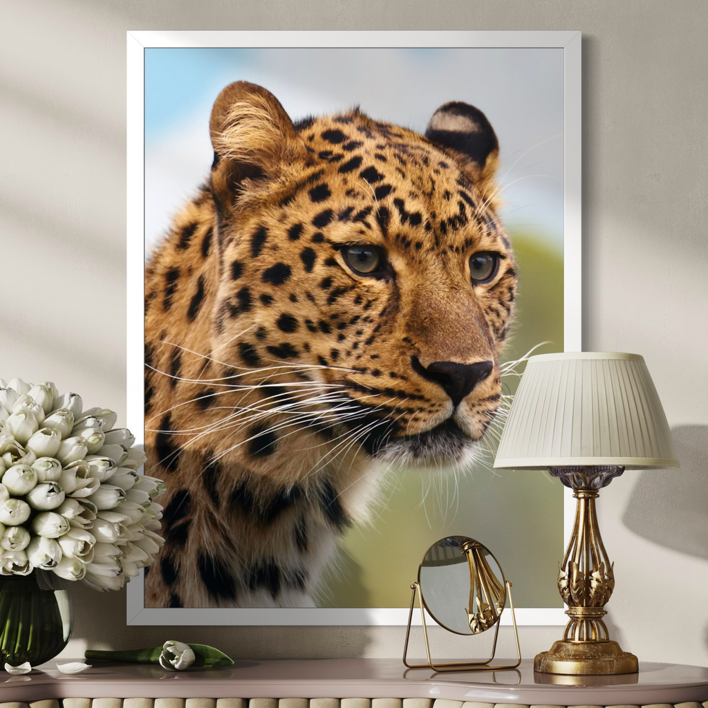 Leopard in the Wild