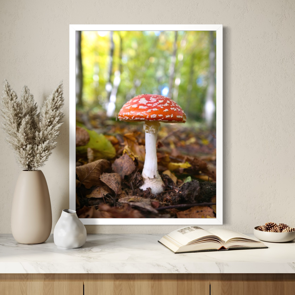 Red Cap Mushroom