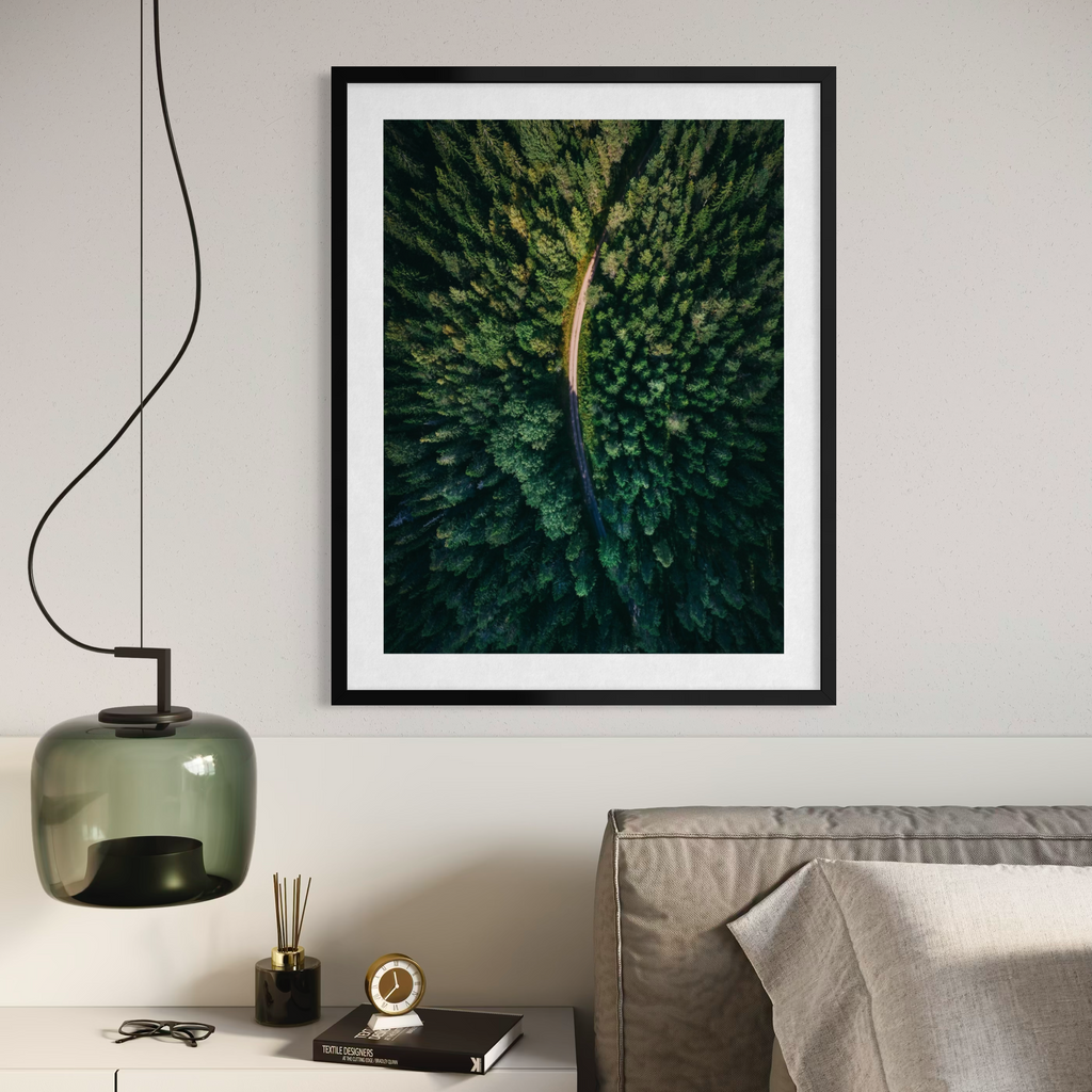 Forest From Above