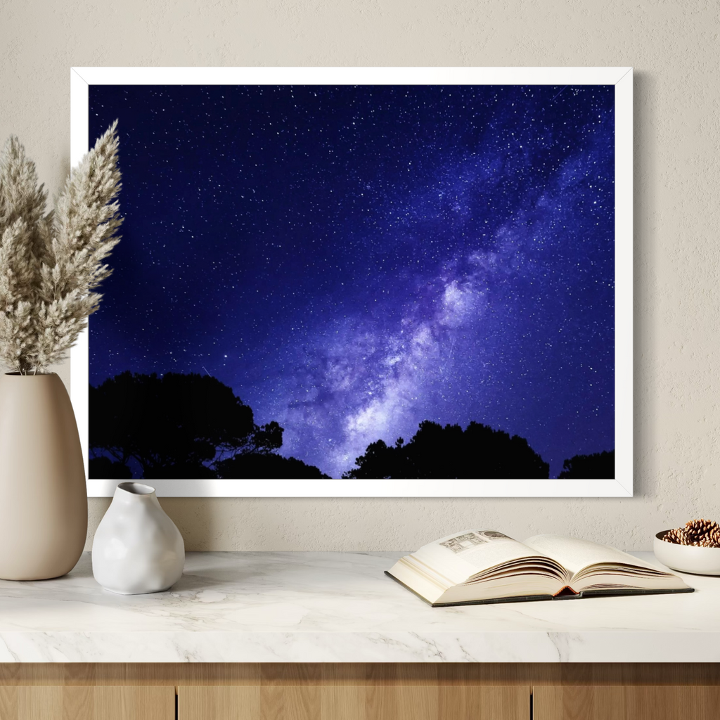 Starlit Wilderness