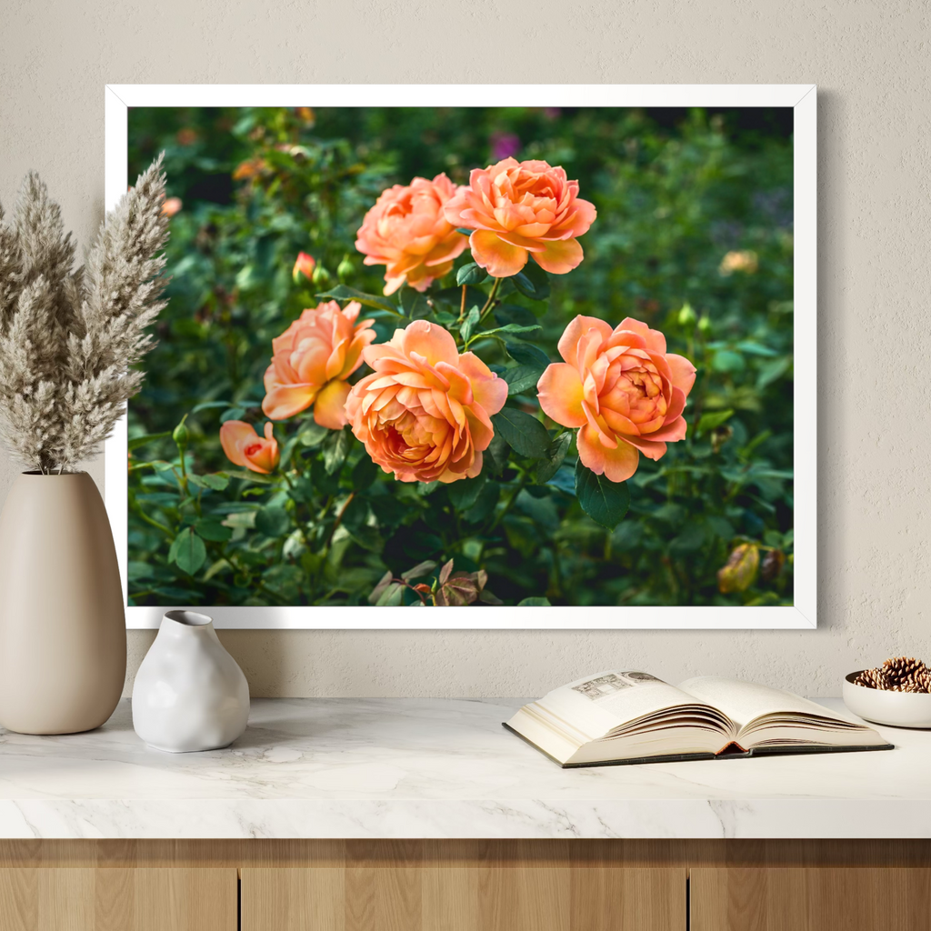 Warmth in Petals