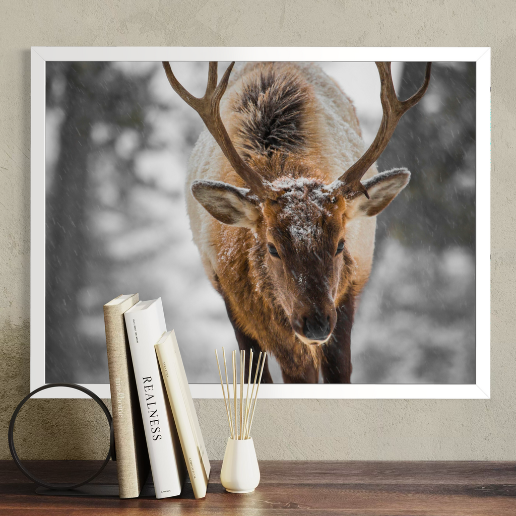 A white framed wall art print showing a close-up photograph of a deer with large antlers in a snowy outdoor scene, displayed above a wooden surface with books and a reed diffuser. The product being sold appears to be the framed print itself rather than the decor props.
