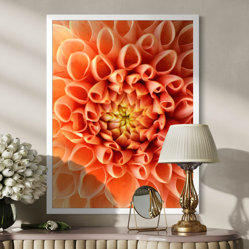 Dahlia Dreams