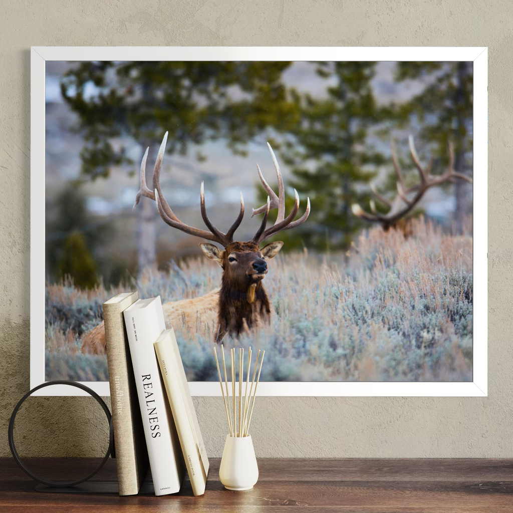A framed wall art print showing a large elk deer with antlers in a grassy field, displayed above a wooden surface with books and a small vase in a styled interior setting.