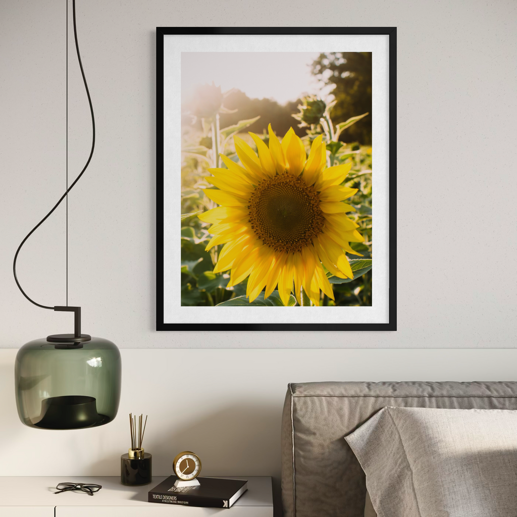 Summer Sunflower