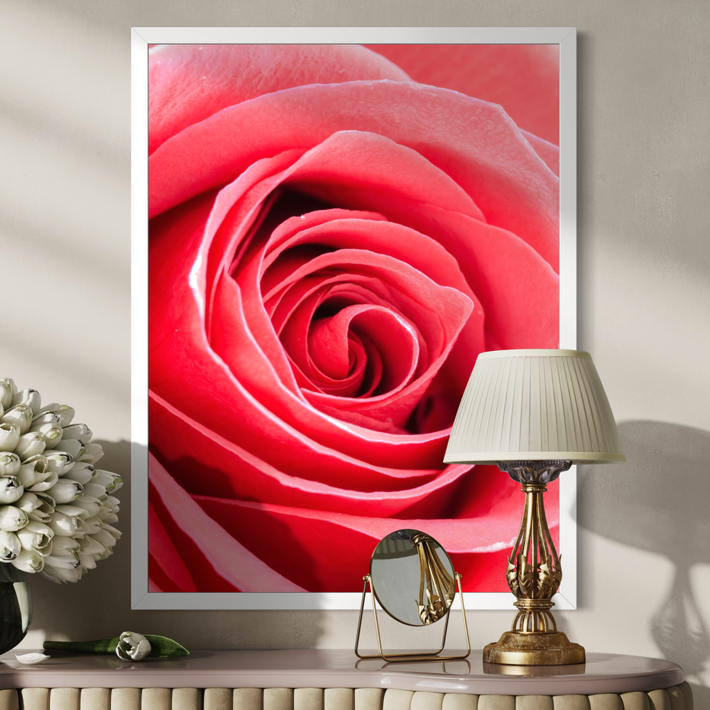 Espiral rosa