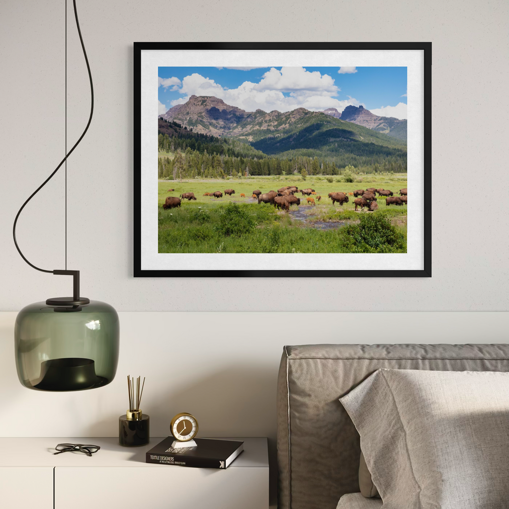 Bisontes pastando en Yellowstone
