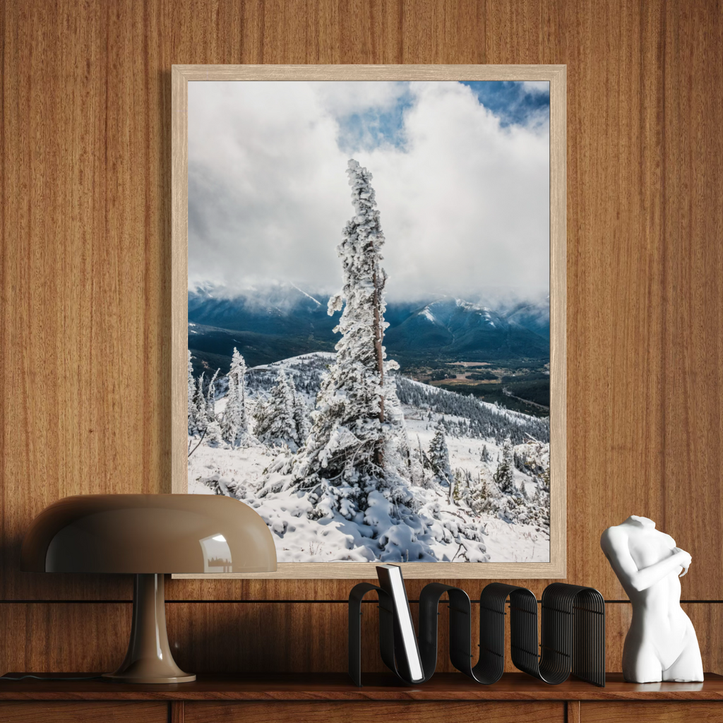 Winter Evergreen