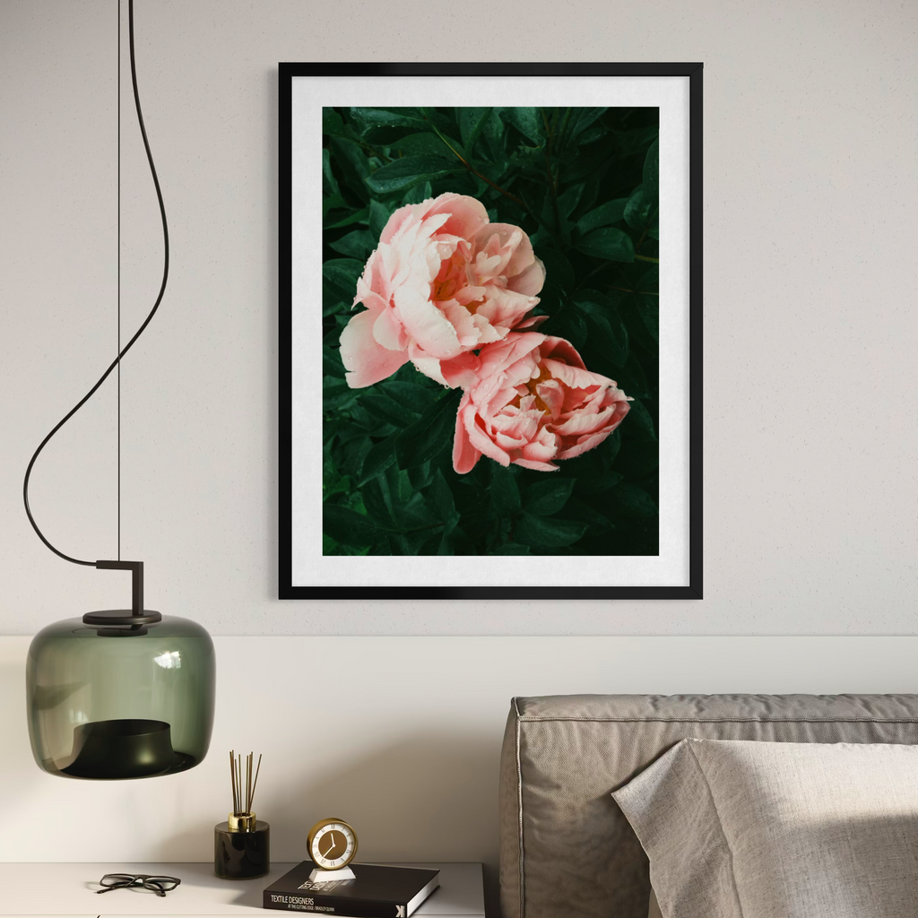 Pivoines embrassées par la pluie