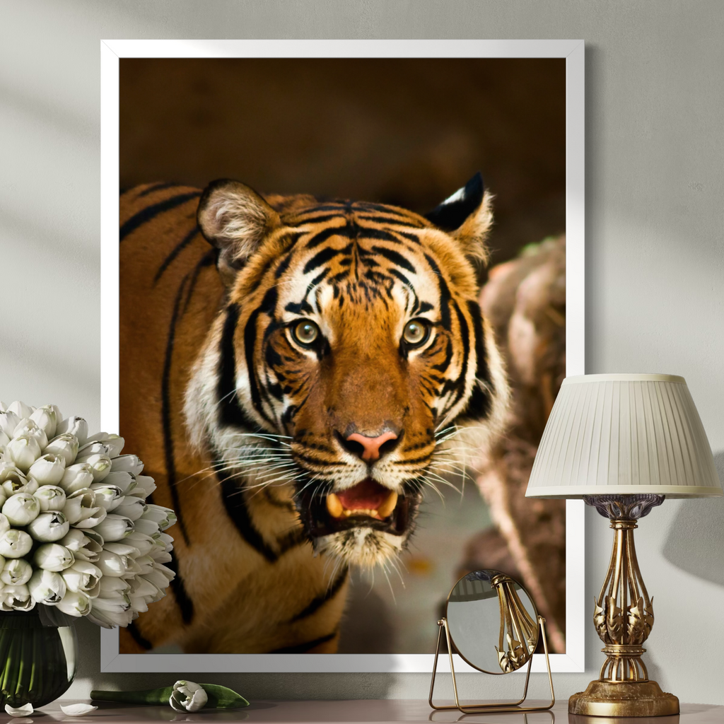 Intense Gaze of a Tiger