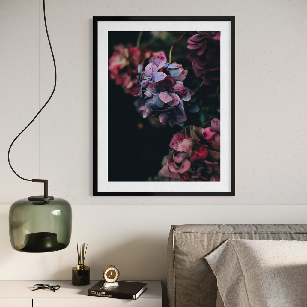 Hortensias de medianoche