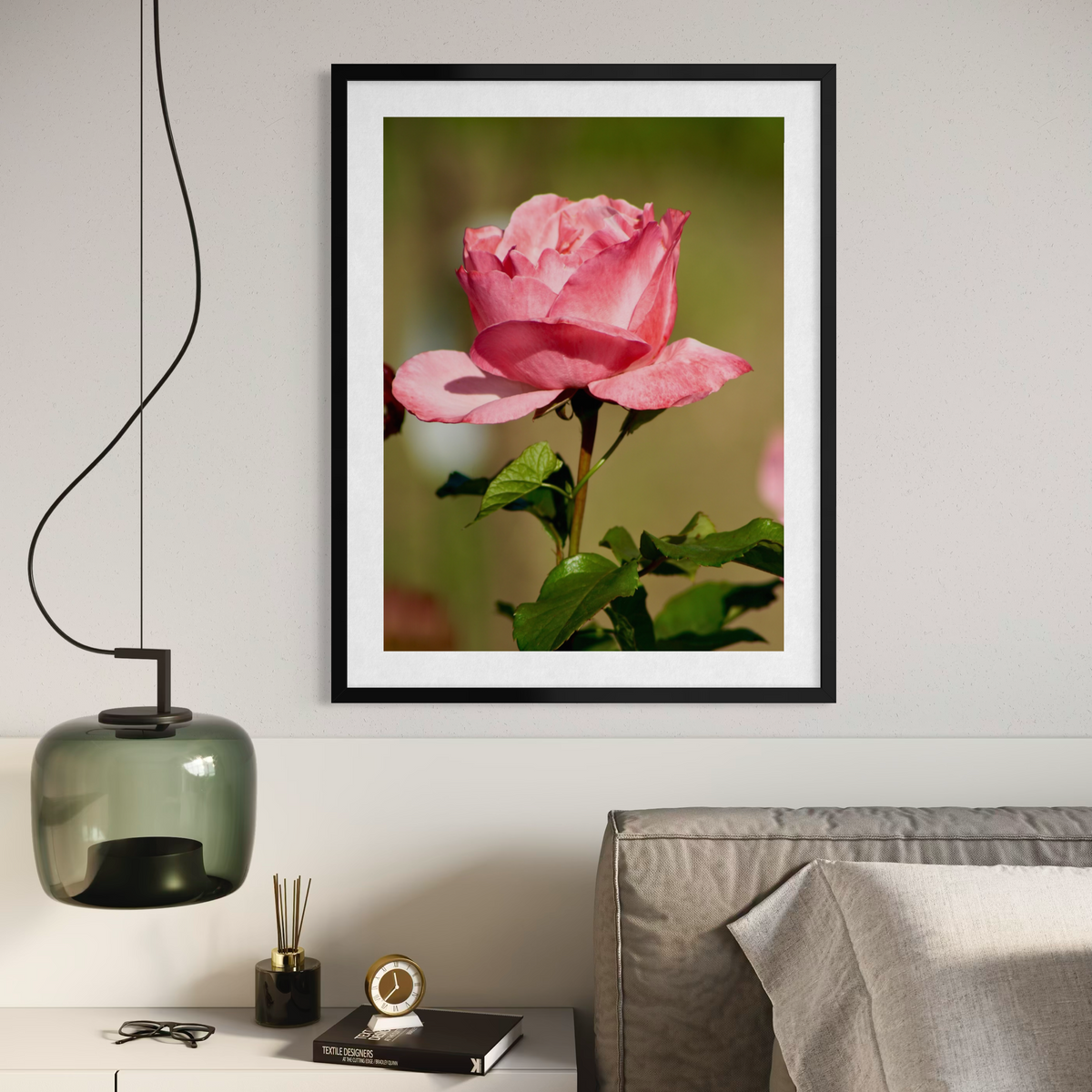 Rosa iluminada por el sol