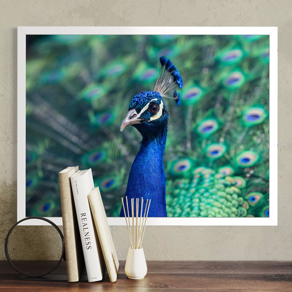 A framed wall art print featuring a close-up photograph of a peacock with vivid blue and green feathers, displayed above a wooden surface with books and a reed diffuser. The frame is mounted on a textured beige wall.