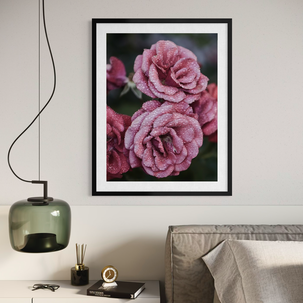 Par rosa