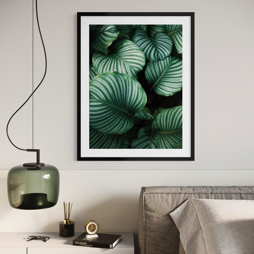 Vegetación de la selva