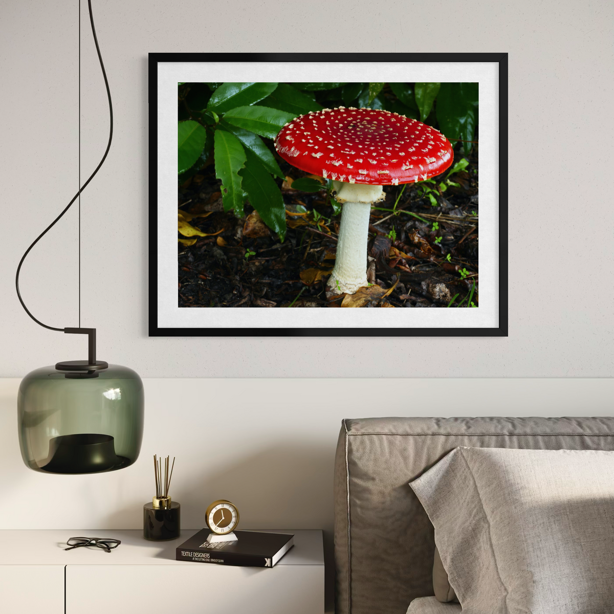 Amanita en ascenso