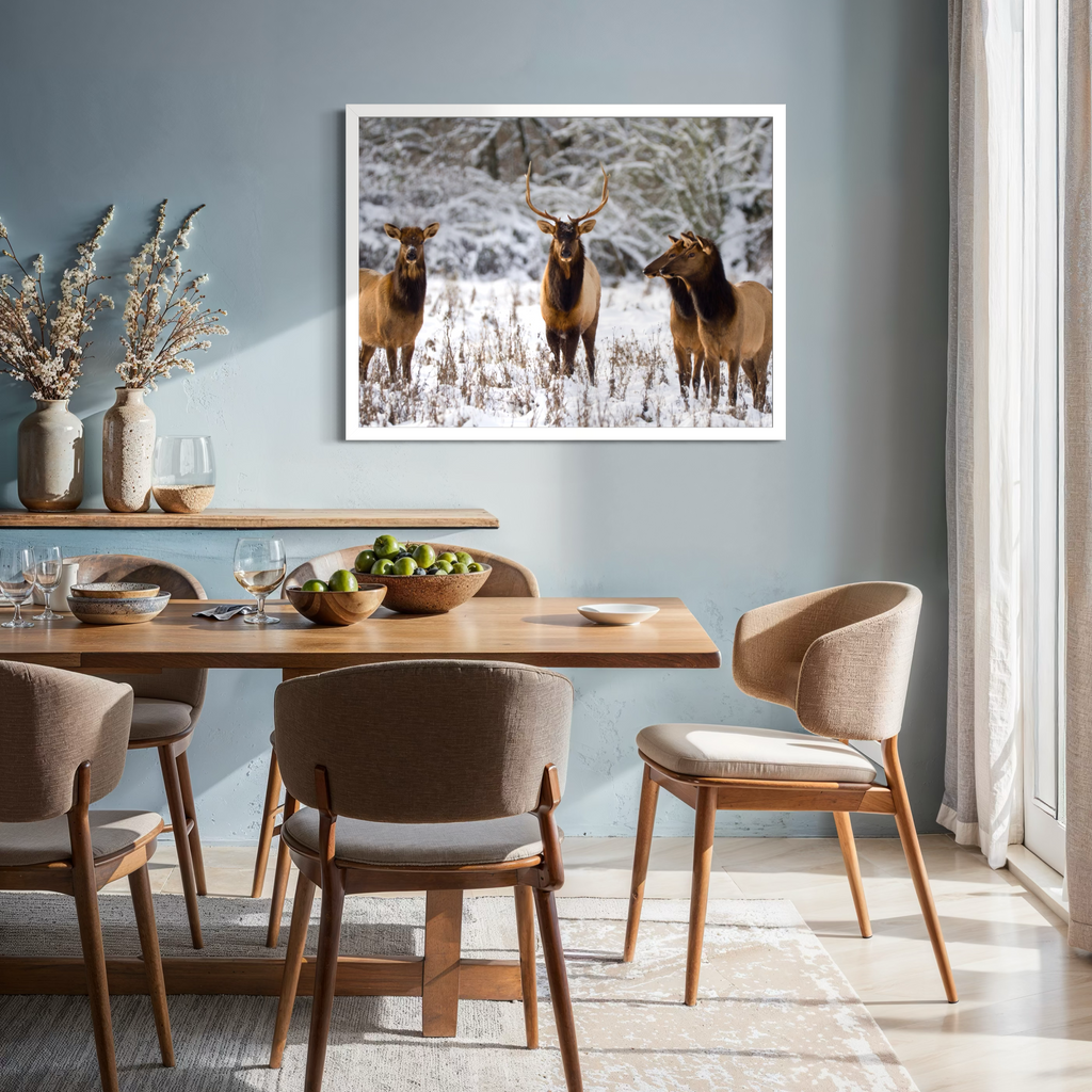 Wintry Companions