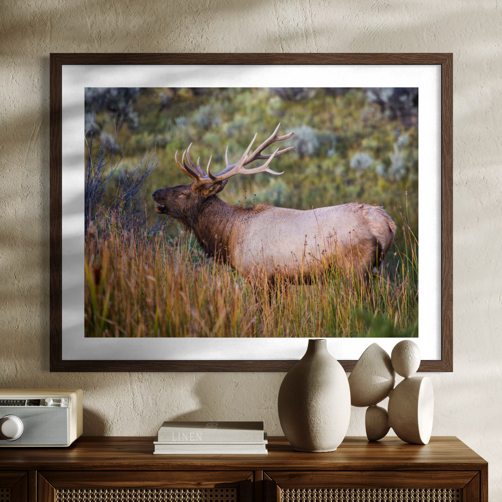 A wooden framed wall art print showing a large elk standing in tall grass, displayed above a wooden console table with decorative vases and books against a textured beige wall.