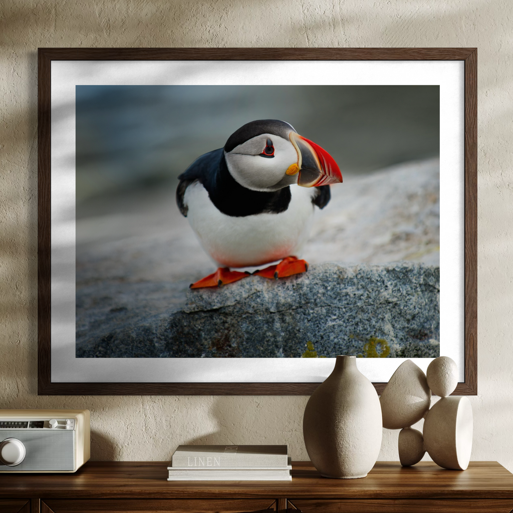 A framed photographic print of an Atlantic puffin perched on a rock, displayed on a dark wood wall above a console table with decorative ceramic vases and books.