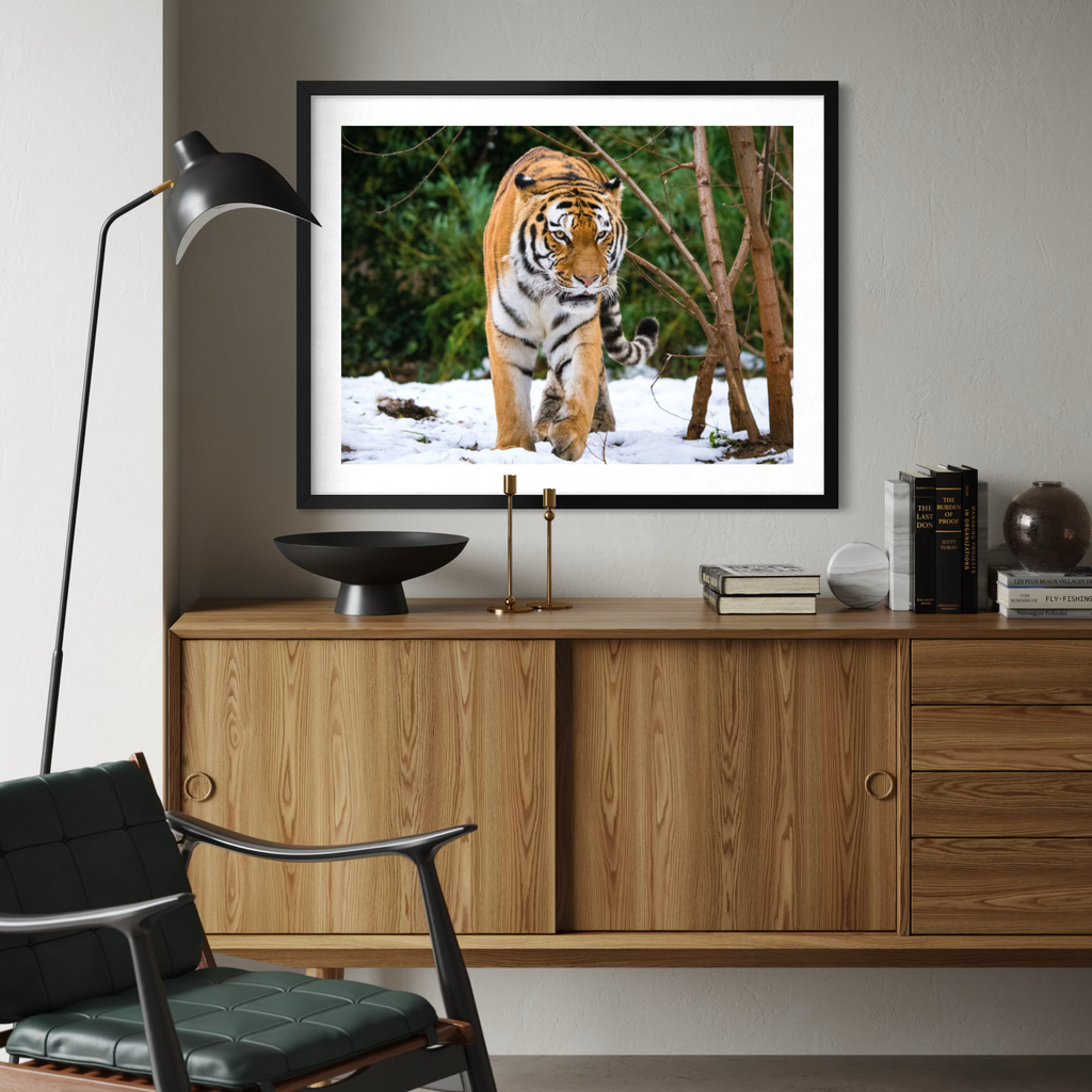 A framed art print of a majestic tiger walking through a snowy forest, displayed on a light gray wall above a mid-century modern wooden credenza in a styled living room setting.