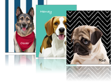 Personalized Pet Cartoon Wall Art | Custom Text & Photo With Live Preview